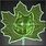 Warden Icon