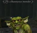 A Runnyeye mender (Runnyeye)