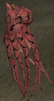 Race octopus