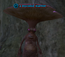 A myconid warrior