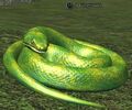A kingsnake.jpg