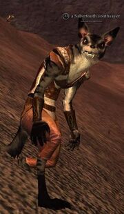 Sabertooth soothsayer