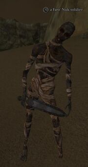 A Faro' Nuk soldier