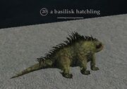 A basilisk hatchling