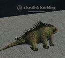 A basilisk hatchling