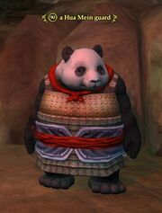 A Hua Mein guard