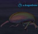A dragonbone scarab