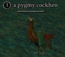 A pygmy cockhen