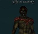 The Banished