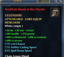 Voidlink Hood of the Mystic