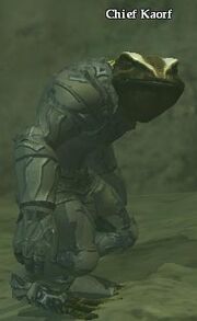 Chief Kaorf (Hidden VoK)