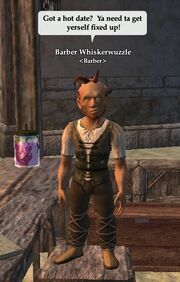 Barber Whiskerwuzzle