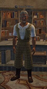 Caius Callidus