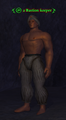 A Bastion keeper.png