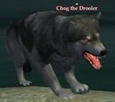 Chog the Drooler