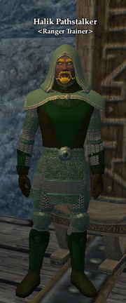 Halik Pathstalker