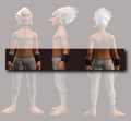 Archon's Vambraces of the Citadel (Equipped).png