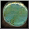Earring Icon 62 (Legendary).png