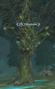 Tilberbous