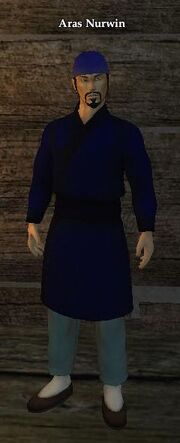 Arasnurwin