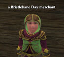 A Bristlebane Day merchant (Gorowyn)