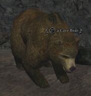 A Cave Bear