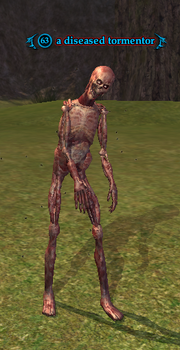 A diseased tormentor