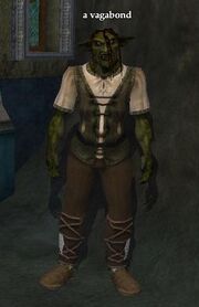 A vagabond