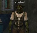 A vagabond