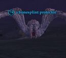 A bonesplint protector