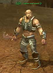 A Vallon road guard