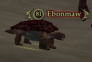 Ebonmaw