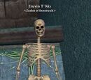 Eruvin T`Kix