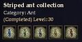 CQ ant striped Journal.jpg