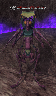 A Humator hivesister