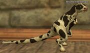God pet bristlebane2