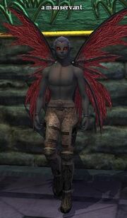 A manservant (Neriak)