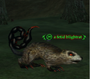 A fetid blightrat