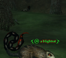 A blightrat