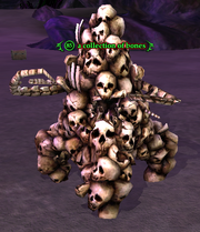 A collection of bones