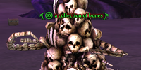 A collection of bones