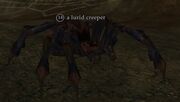 A lurid creeper