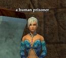 A human prisoner