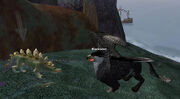 Blacktalon