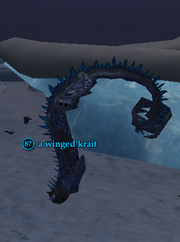 A winged krait