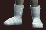 Gallant Dragoon's Sabatons (Equipped)