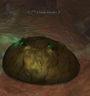 A loam blister