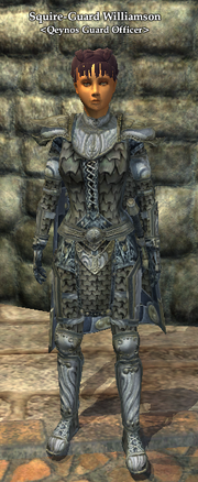 Squire-Guard Williamson