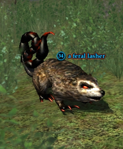 A feral lasher