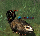 A feral lasher